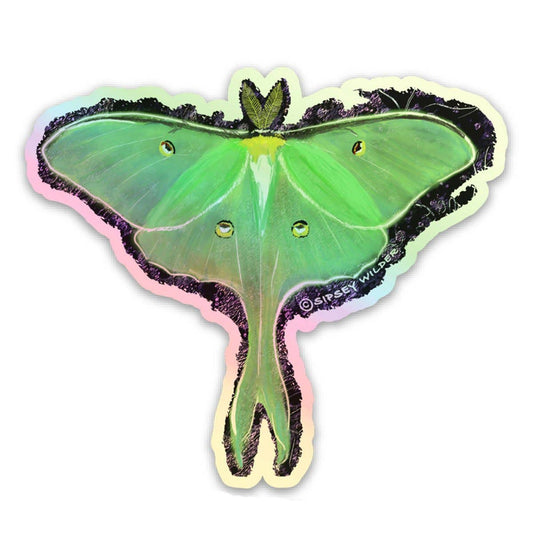 Sticker - Holographic Luna Moth