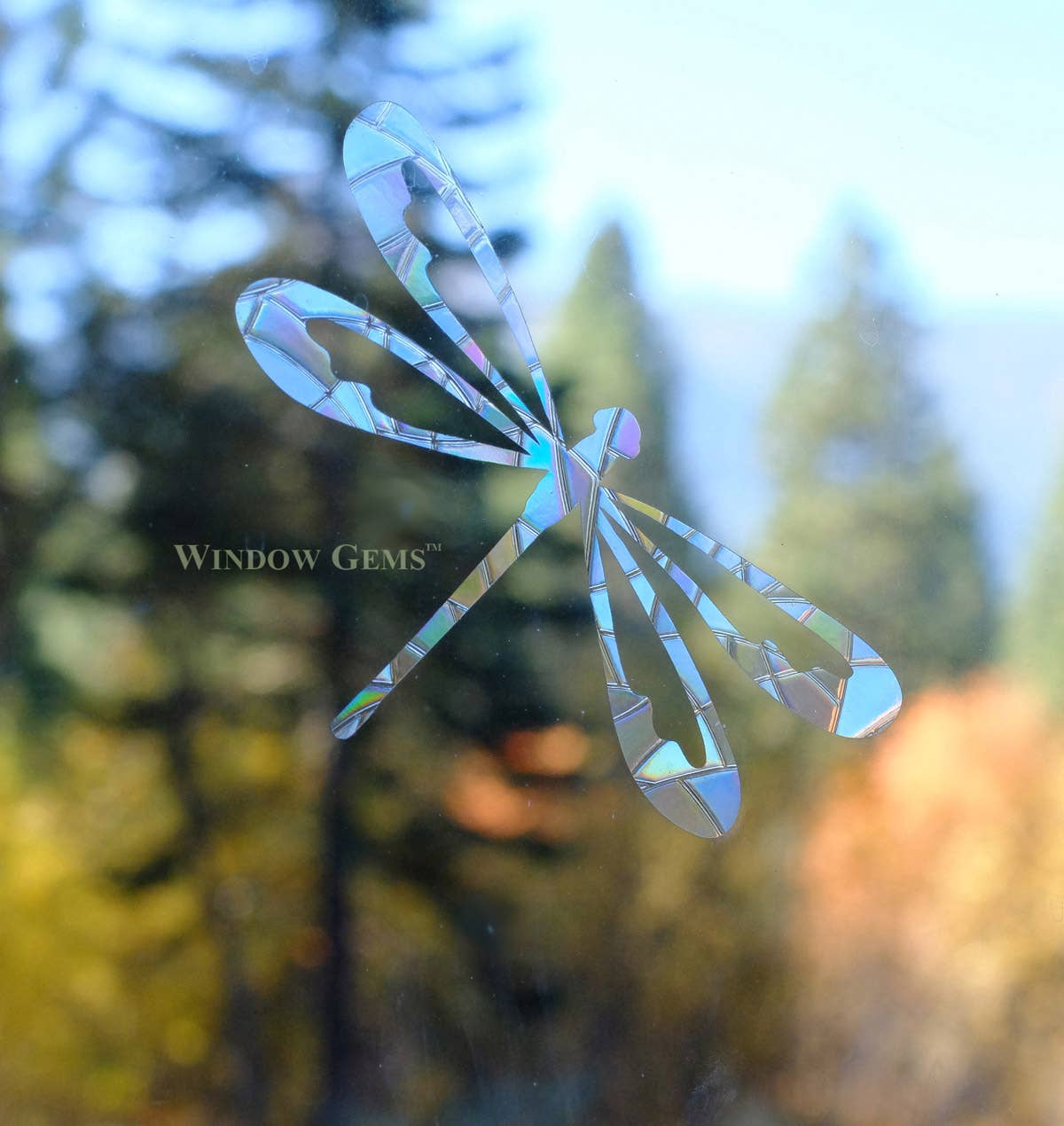Window Gems - Dragonfly - Window Clings Bird Strike Prevention Decals
