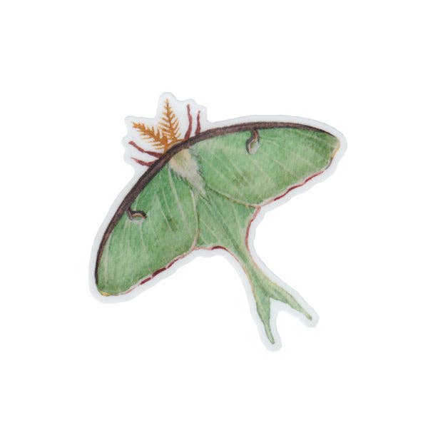 Sticker - Luna Moth