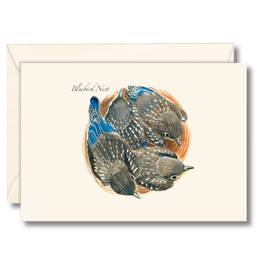 Paper - Boxed Notecards - Bluebird Nest (Earth Sky + Water)