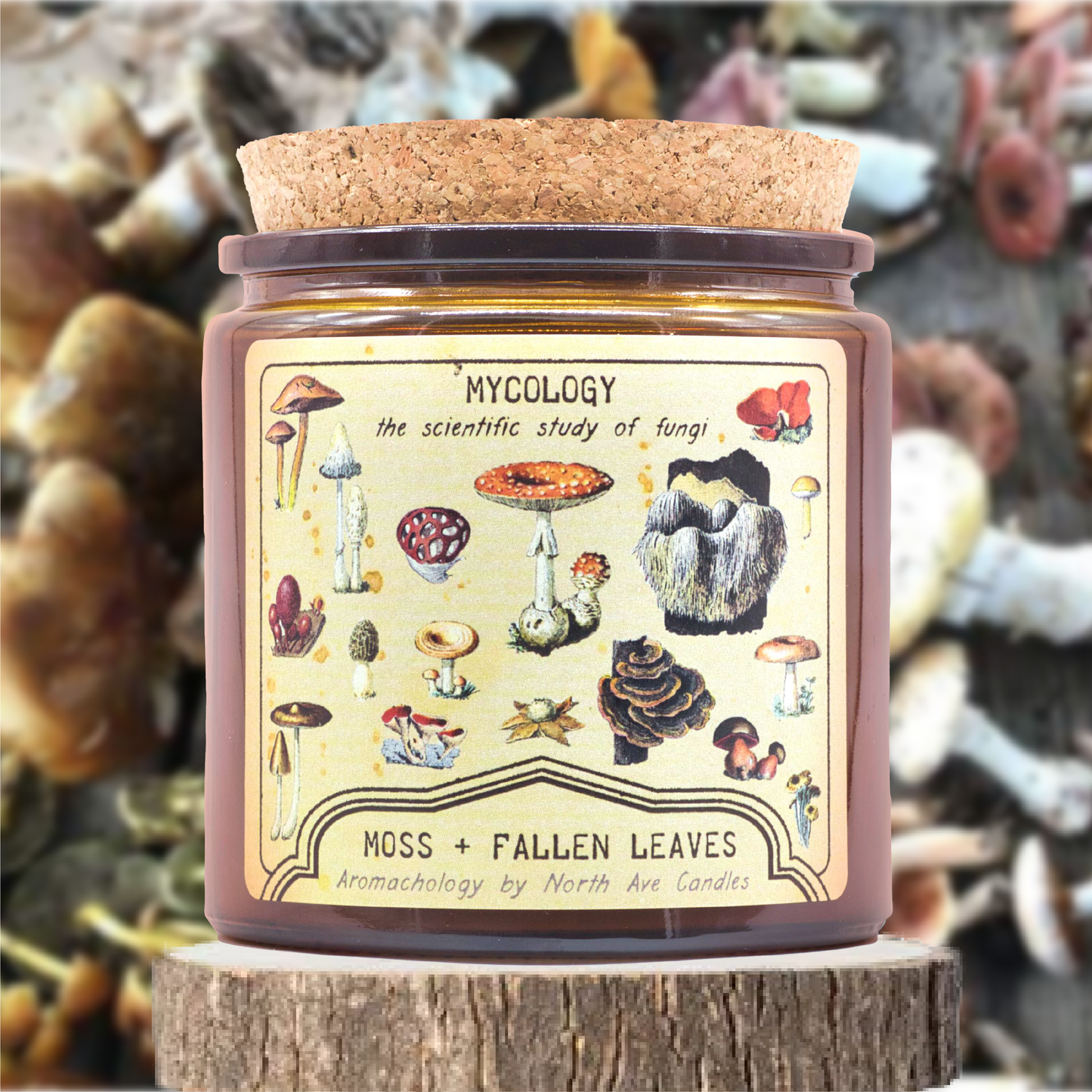 Candle - Aromachology / Mushroom & Fungi / Mycology (Moss and Fallen Leaves)