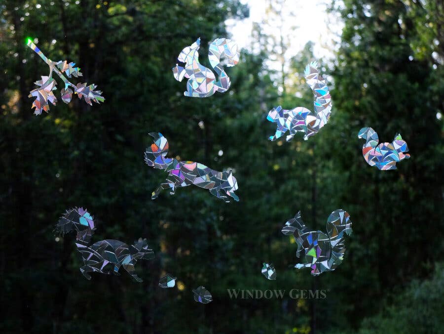 Window Gems - Squirrels - Window Clings Bird Strike Prevention Decals