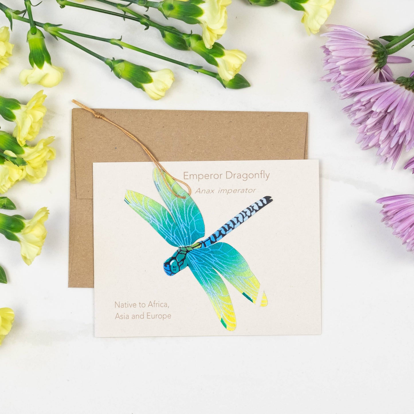 Greeting Card  - Dragonfly Ornament + Notecard