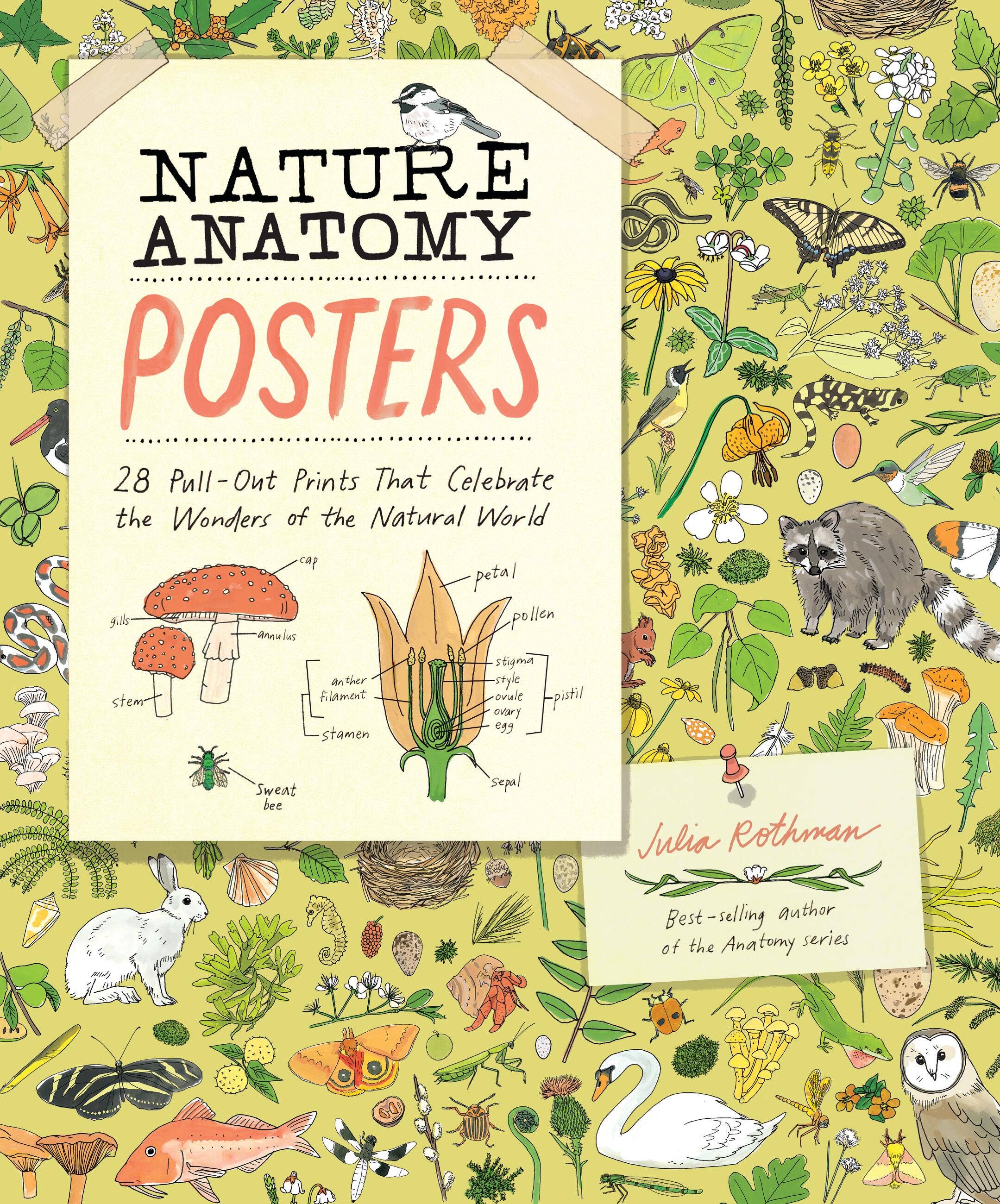 Book - Nature Anatomy Posters: 28 Pull-Out Prints That Celebrate the W ...