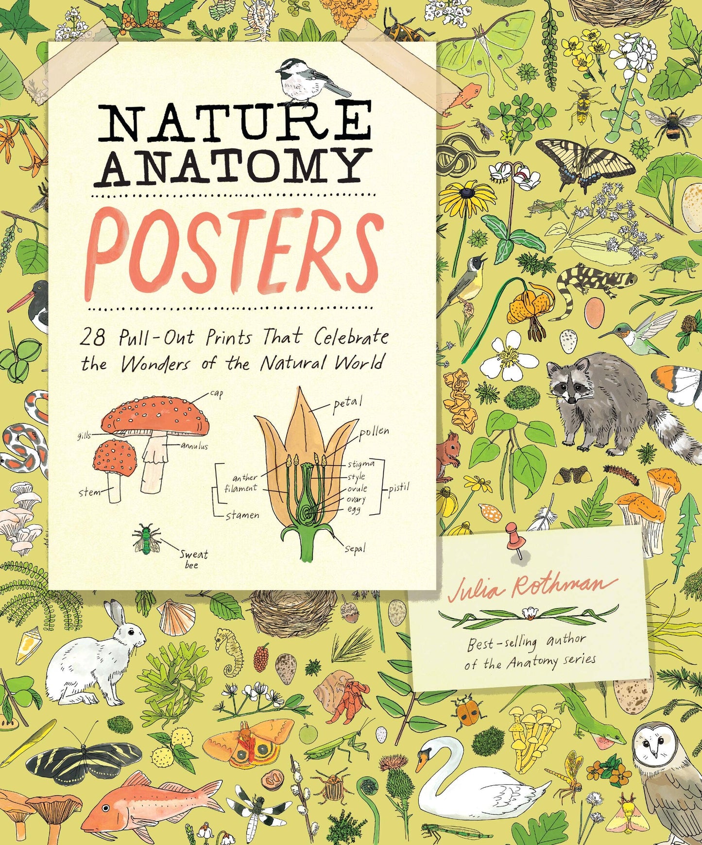 Book - Nature Anatomy Posters: 28 Pull-Out Prints That Celebrate the Wonders of the Natural World by Julia Rothman (Paperback)