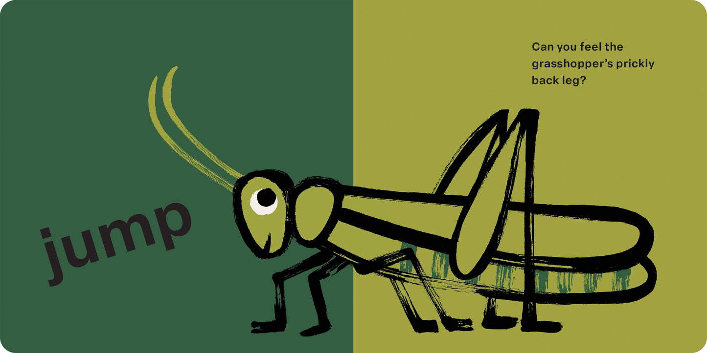 Book - Spring Street Touch and Feel: Bugs by Boxer Books (Board Book / Touch & Feel)