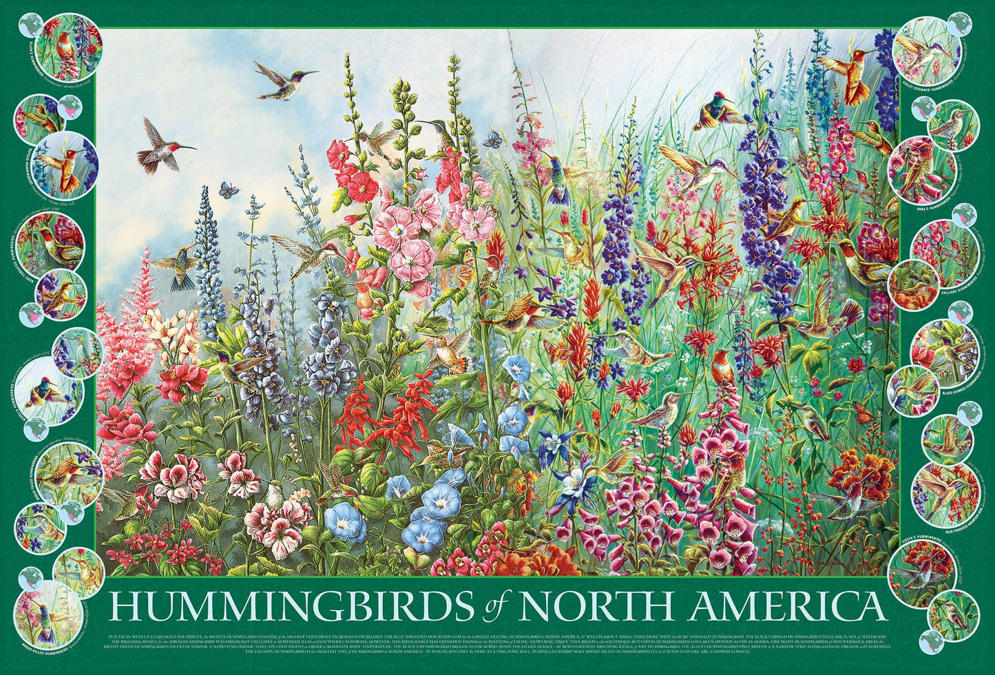 Puzzle - Hummingbirds of North America (2000 Piece)