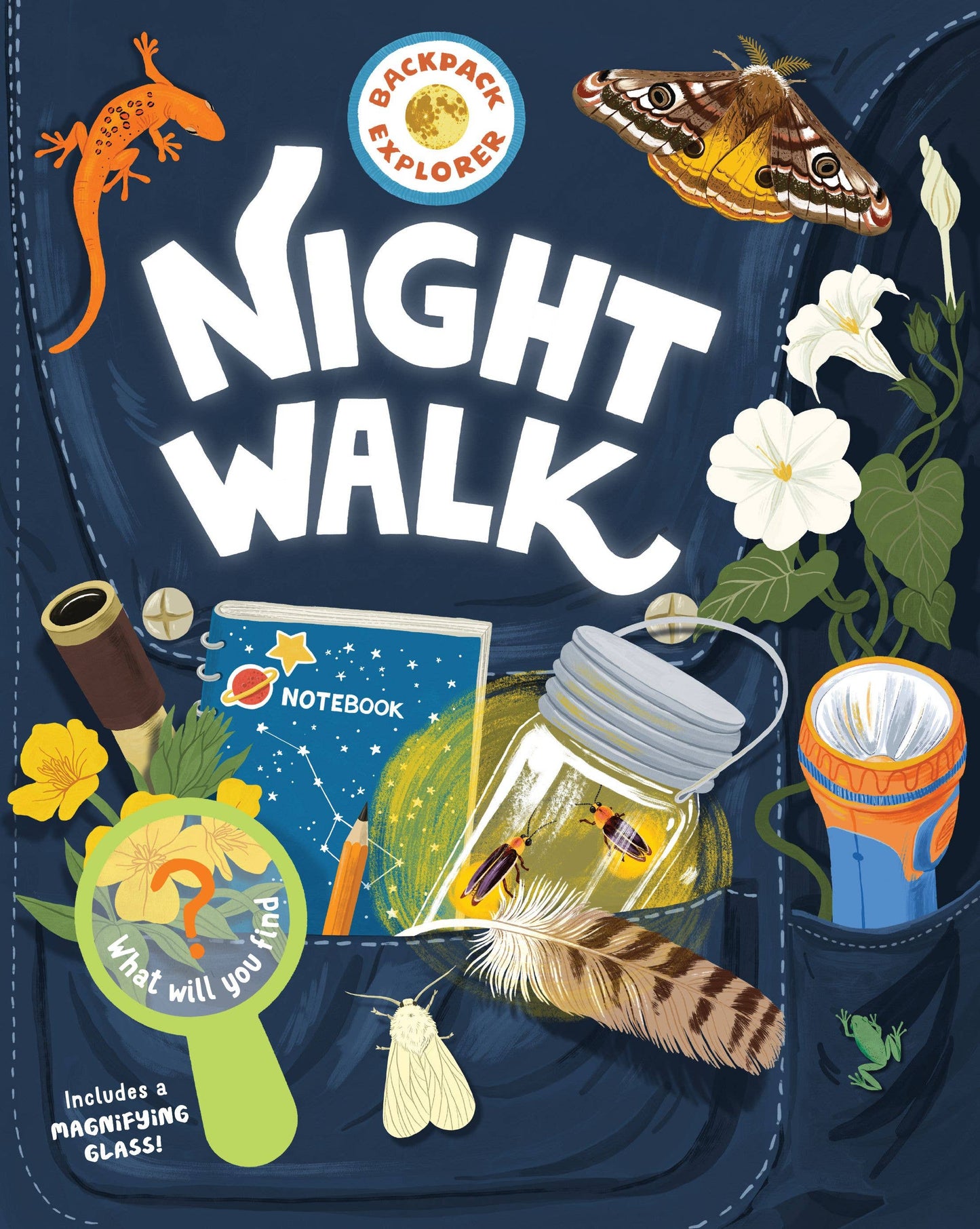 Book - Backpack Explorer: Night Walk: What Will You Find? (Flexibound)