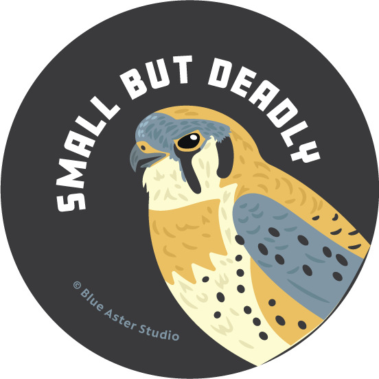 Pinback Button - Bird Kestrel - "Small but Deadly"