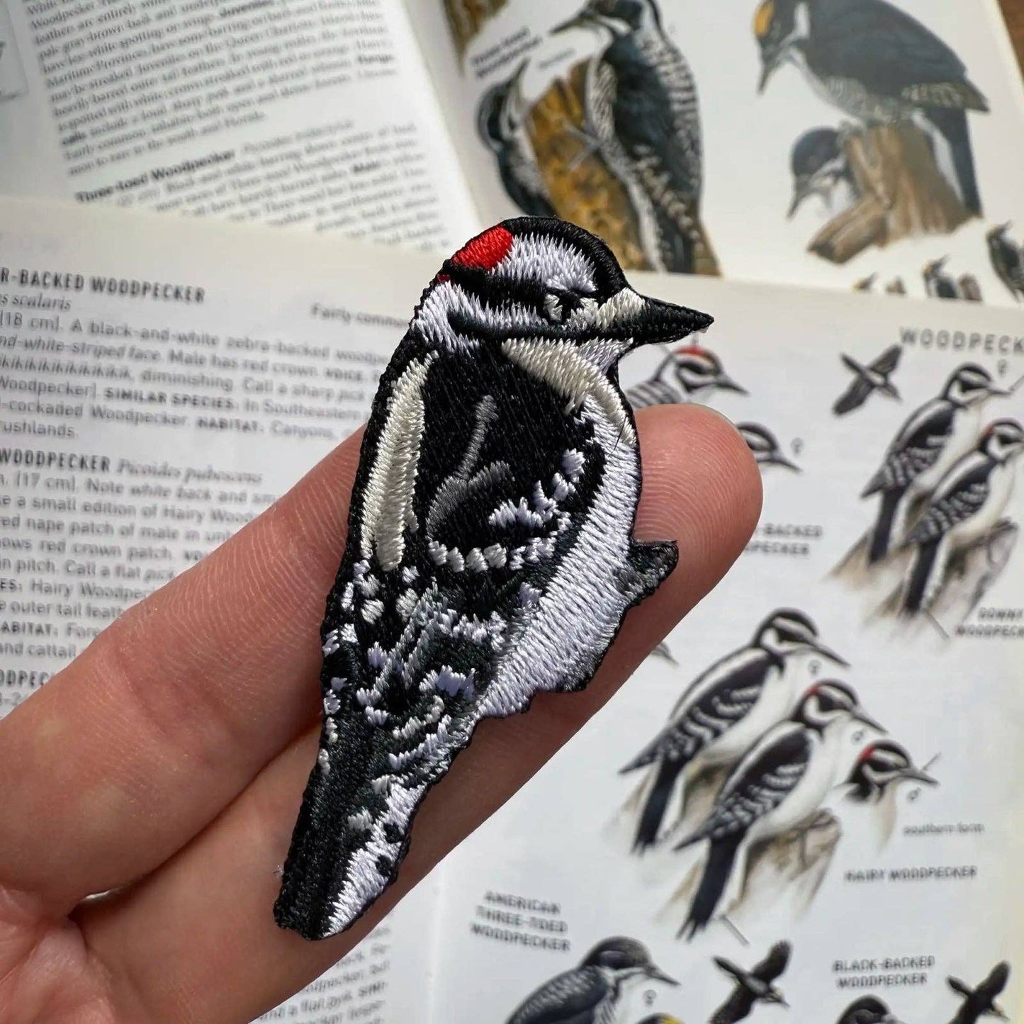 Bird Patch - Downy Woodpecker (#79 of collection)