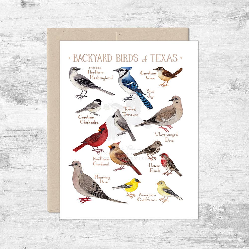 Greeting Card - Backyard Birds of Texas