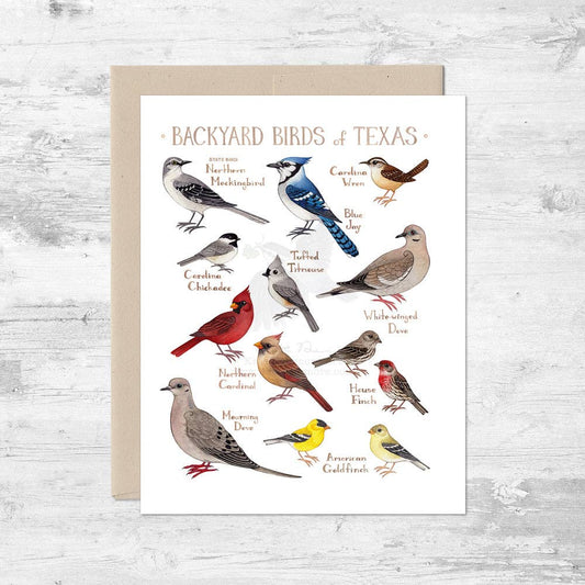 Greeting Card - Backyard Birds of Texas
