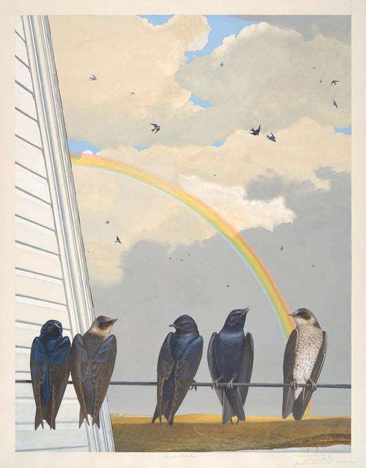 Unframed Art Print - Gentling Brothers - Purple Martin-Rainbow