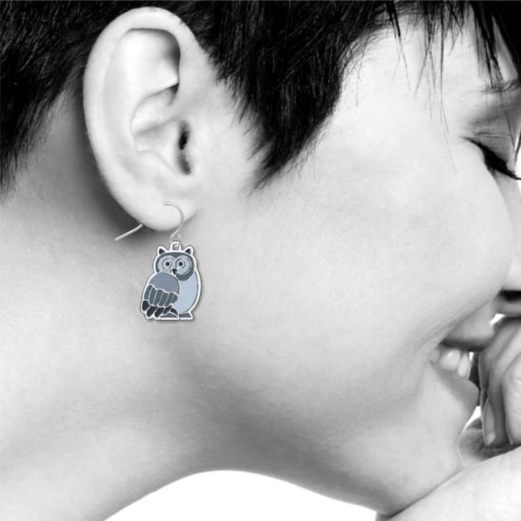 Boxed Jewelry - Owl Earrings (Silver Toned)