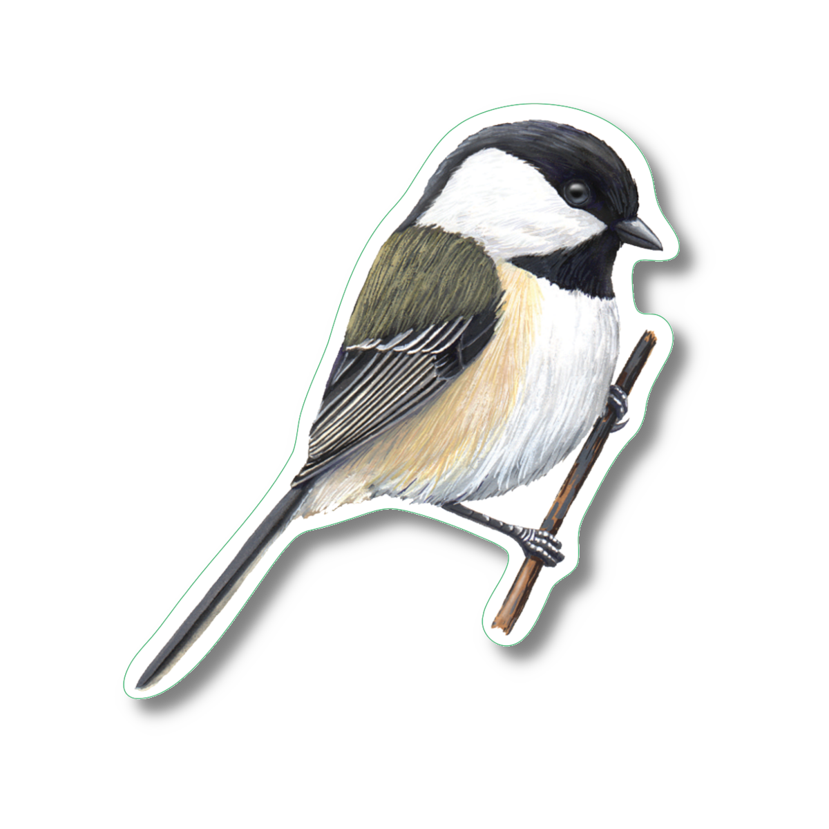 Sticker - Chickadee Nature Sticker, 2.5" x 3.5"