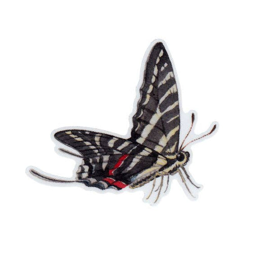 Sticker - Zebra Swallowtail Butterfly
