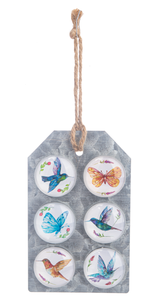 Magnet Set - Hummingbirds & Butterflies