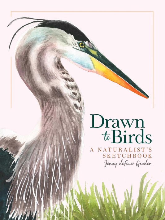 Book - Drawn to Birds: A Naturalist's Sketchbook by Jenny deFouw Geuder (Hardback)