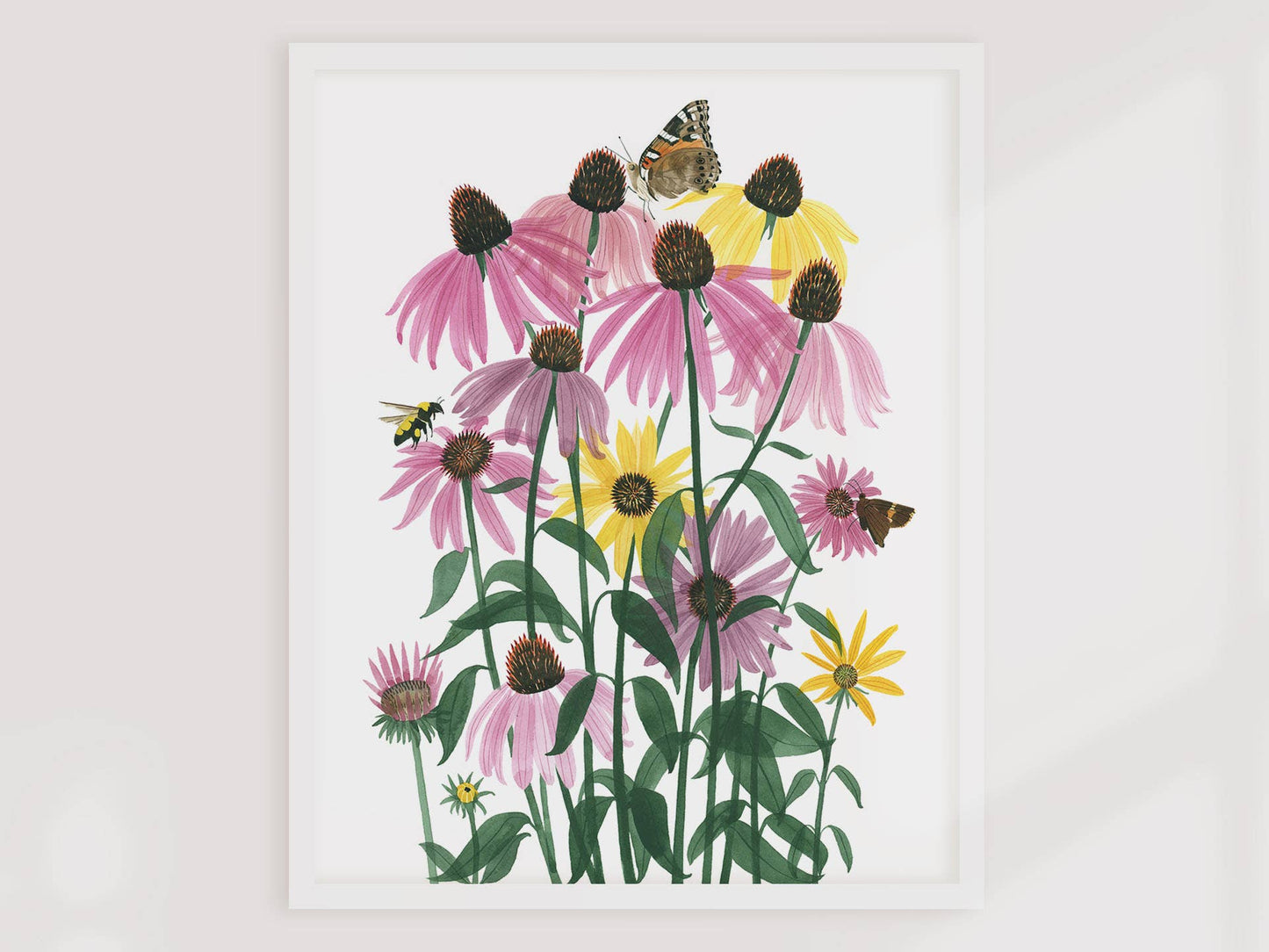 Unframed Art Print - "Coneflowers" by Leana Fischer