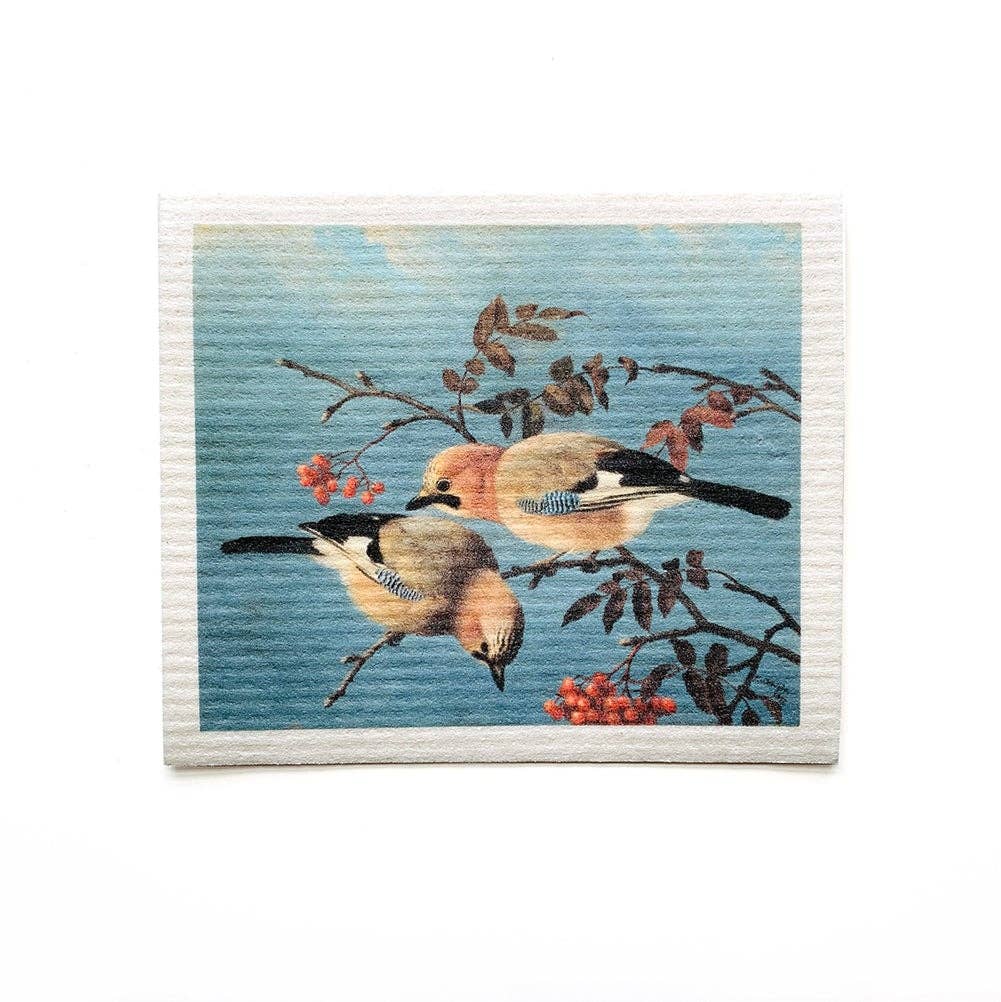 Eco-Friendly Dishcloth - Jay Birds