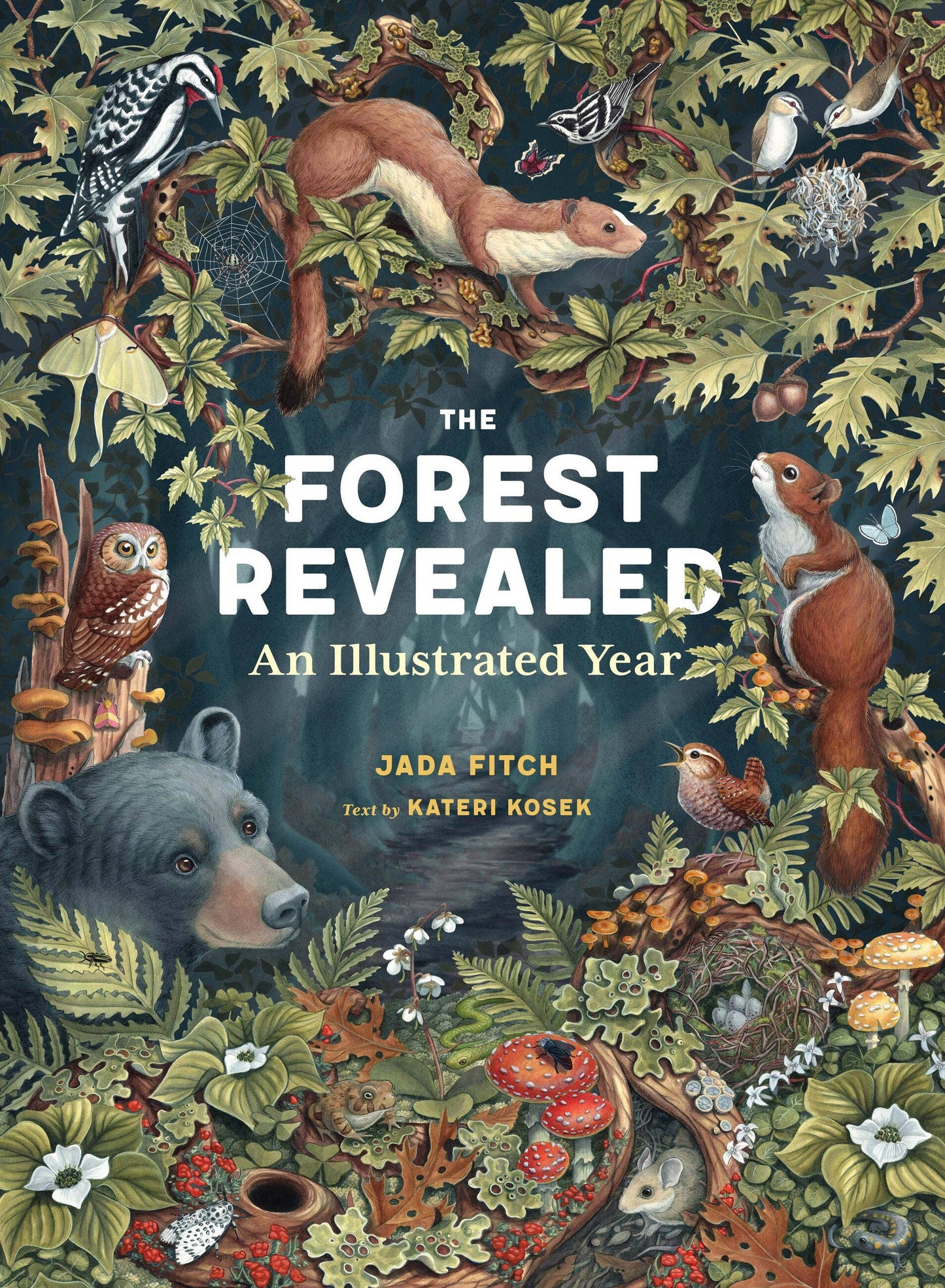 Book - The Forest Revealed (Hardback - Oversized)