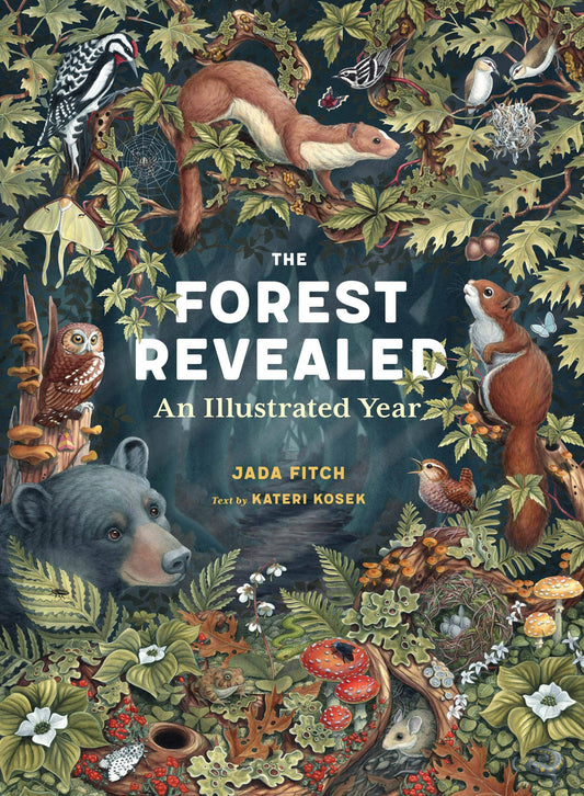 Book - The Forest Revealed (Hardback - Oversized)