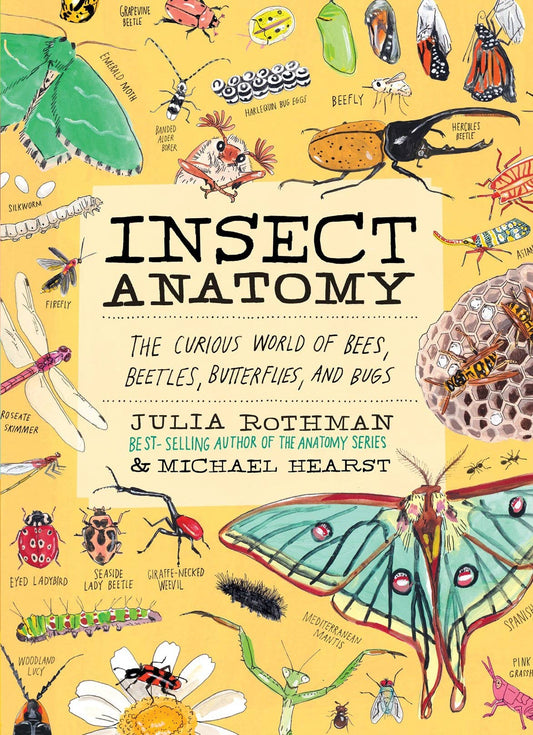 Book - Insect Anatomy: The Curious World of Bees, Beetles, Butterflies, and Bugs by Julia Rothman (Paperback)