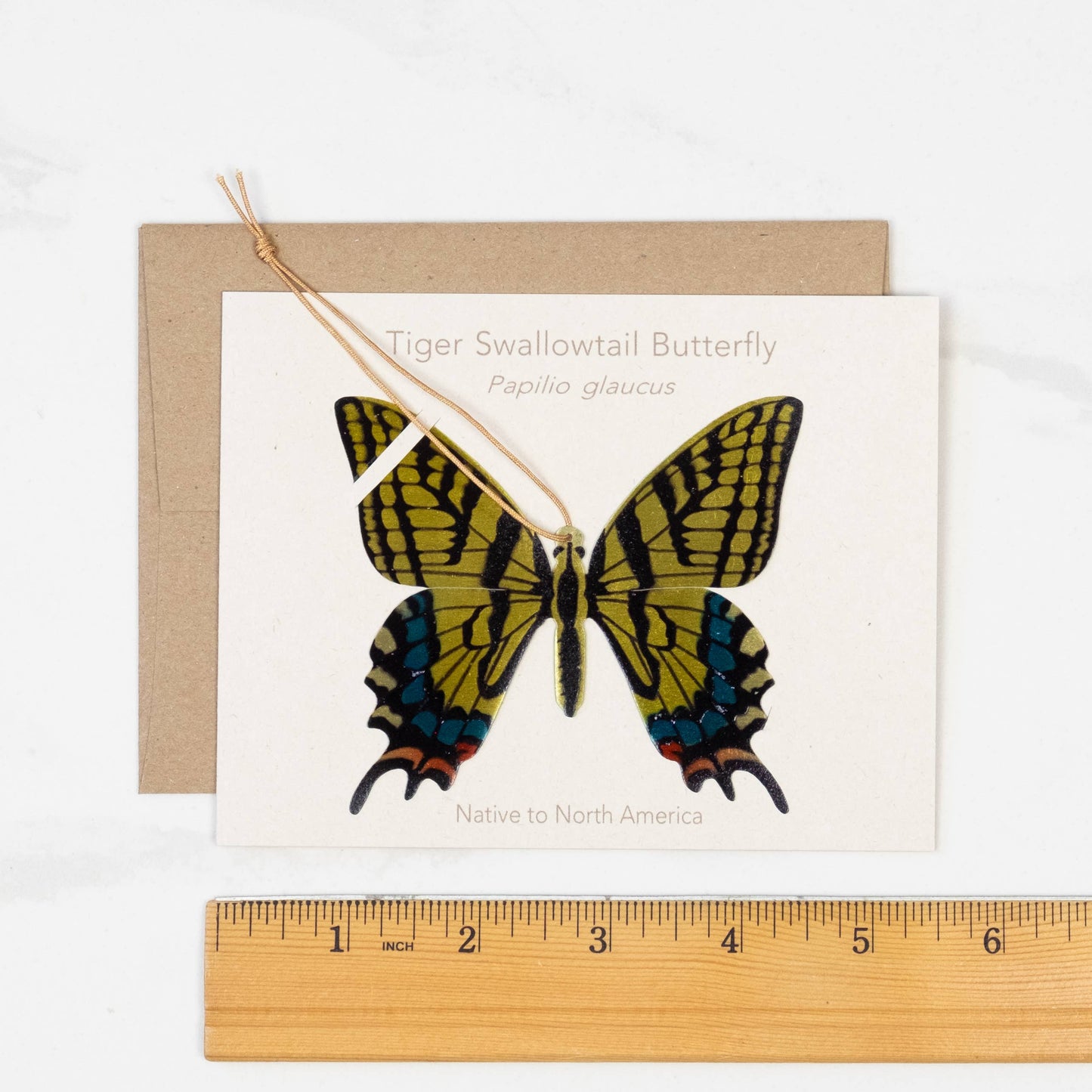 Greeting Card  - Tiger Swallowtail Butterfly Ornament + Notecard