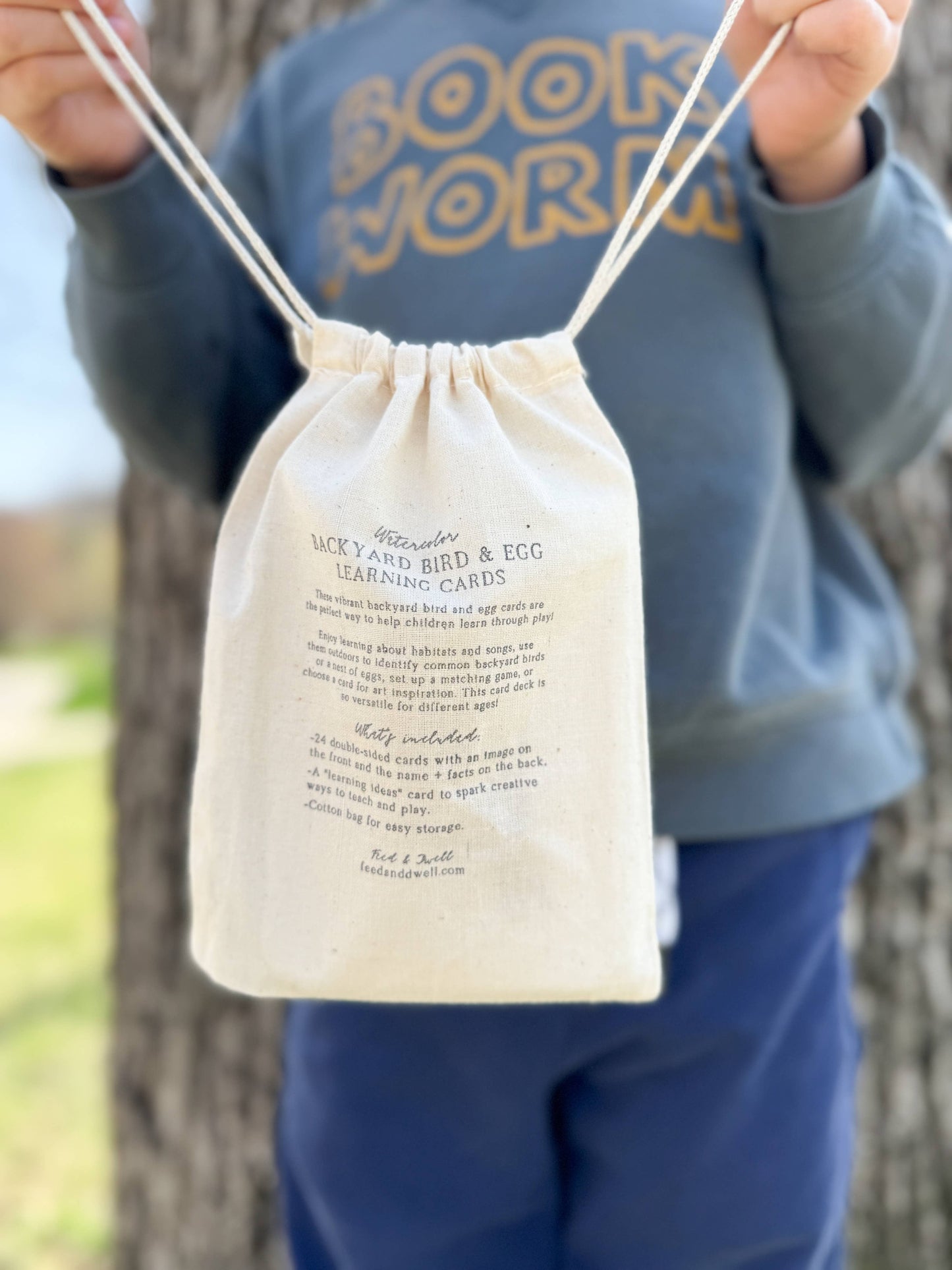 Montessori Learning Cards - Backyard Birds and Eggs