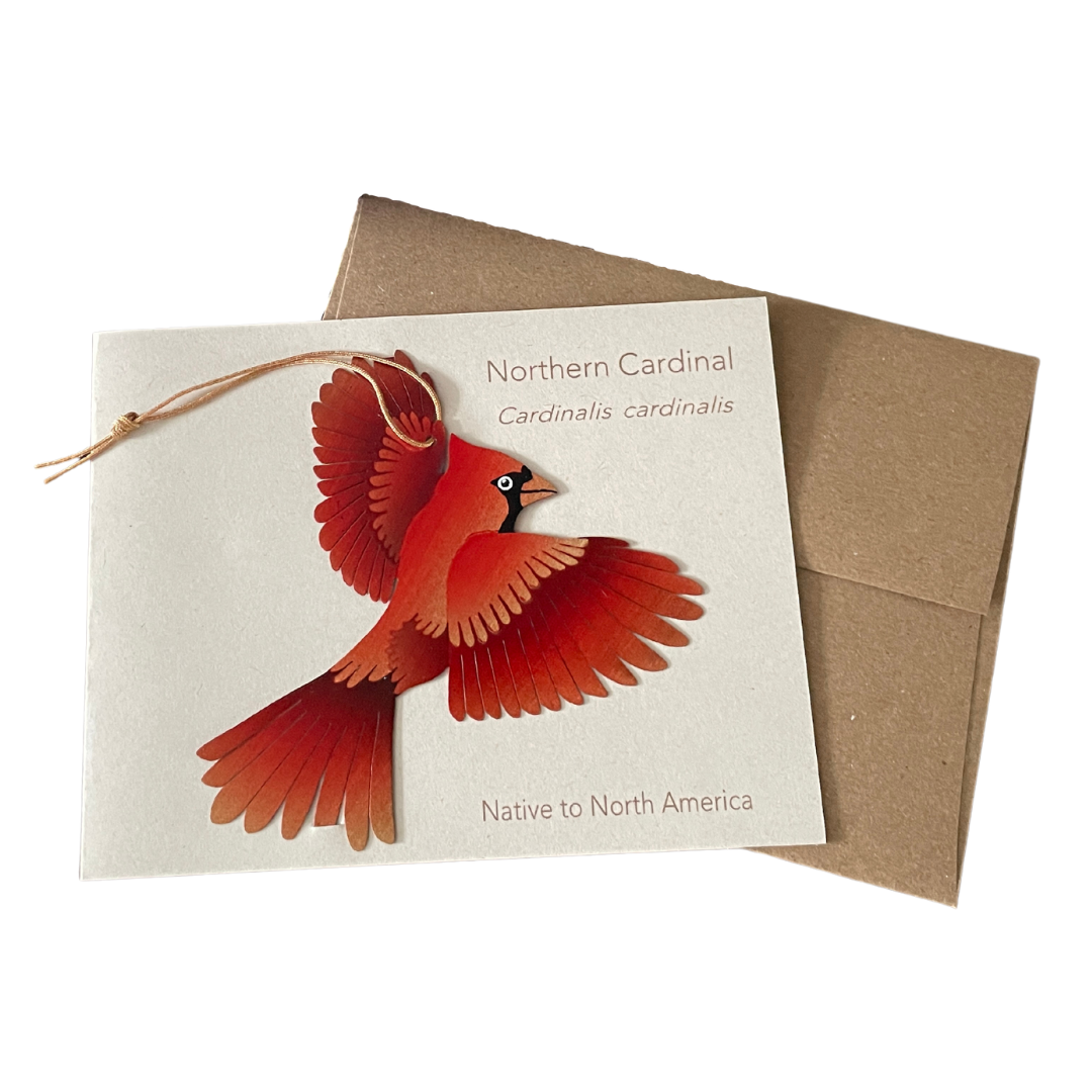 Greeting Card  - Cardinal Bronze Ornament + Notecard