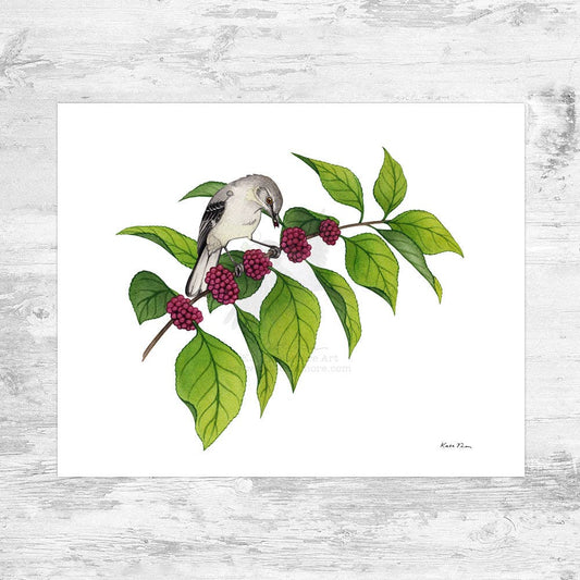 Art Print - Northern Mockingbird on Beautyberry (10" x 8")