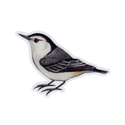 Sticker - White-breasted Nuthatch