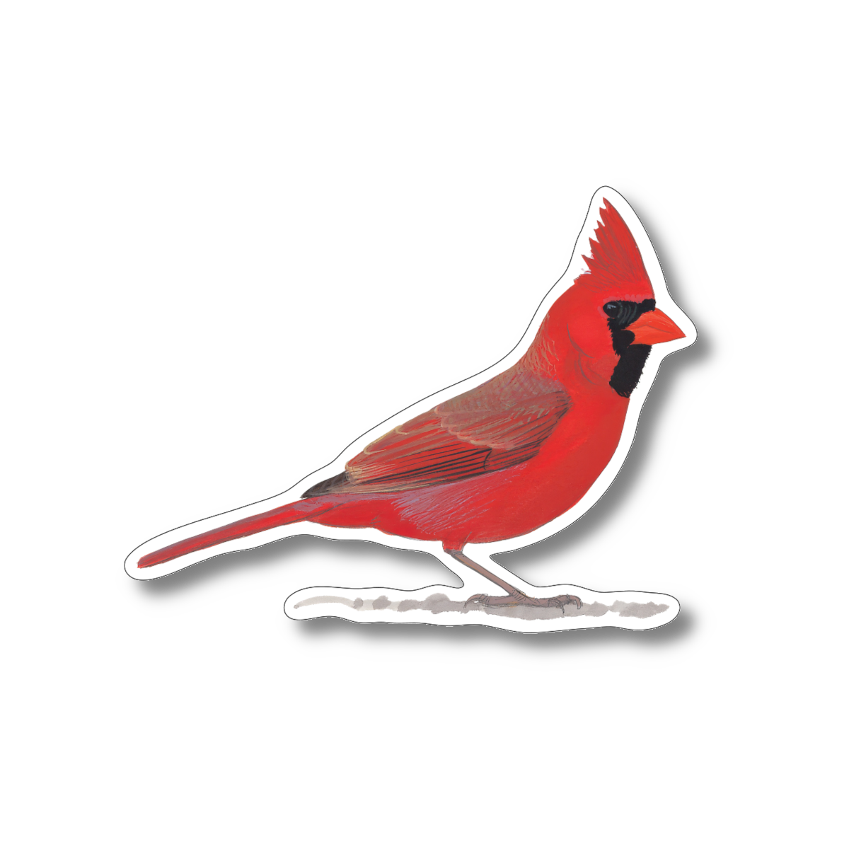 Sticker - Cardinal Nature Sticker, 2.5" x 3.5"