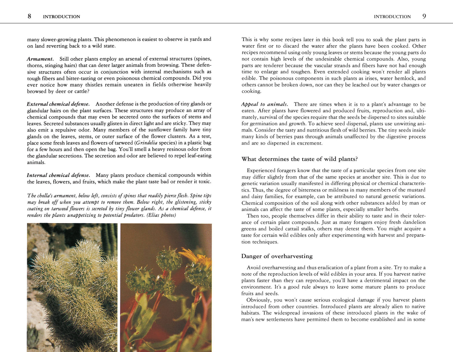 Book - Edible Wild Plants: A North American Field Guide (Paperback)