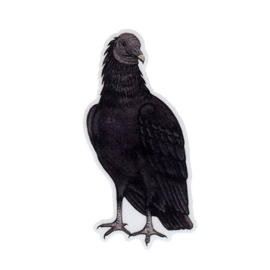 Sticker - Black Vulture