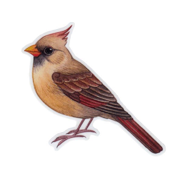 Sticker - Northern Cardinal (Female)