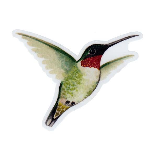 Sticker - Ruby-throated Hummingbird