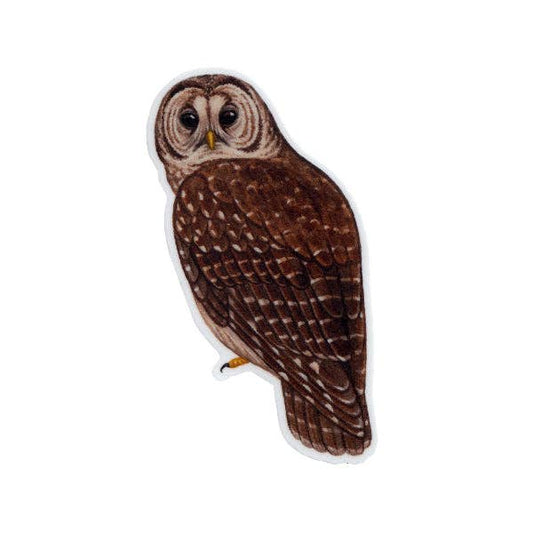 Sticker - Barred Owl