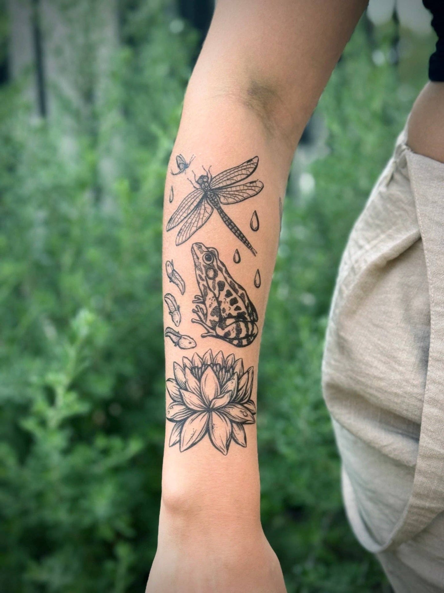 Temporary Tattoo - Pond Cycle (1 Pack)