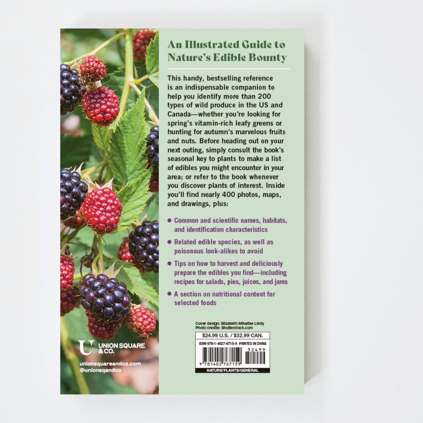 Book - Edible Wild Plants: A North American Field Guide (Paperback)