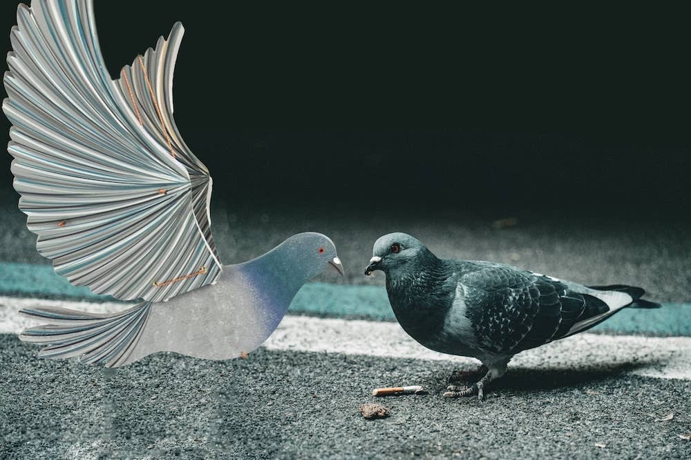 Flying Bird Mobile - Pigeon