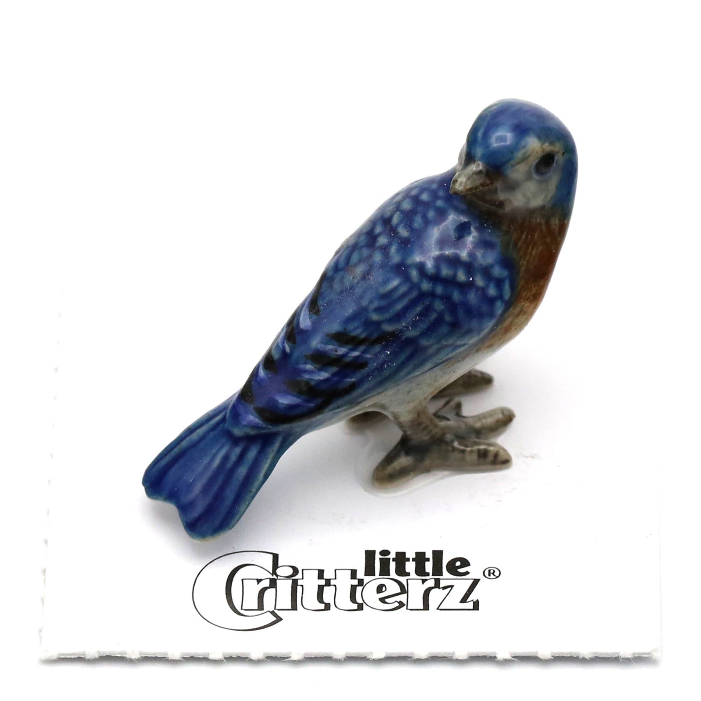 Little Critterz Porcelain Miniature - "Melody" Eastern Bluebird