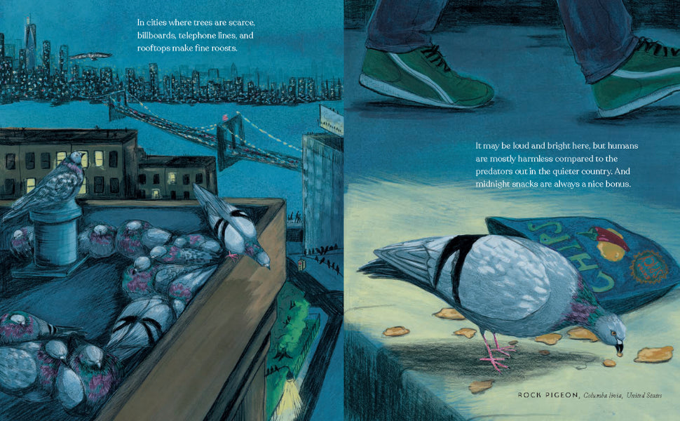 Book - How Birds Sleep by Sarah Pedry and David Obuchowski (Hardback)