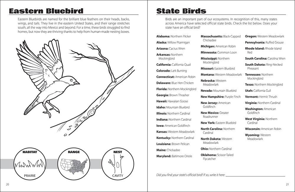 Book - Birds & Friends Activity Book: An Introduction to Backyard Birds for Kids (Coloring Nature) by Jennifer M. Mitchell (Paperback)