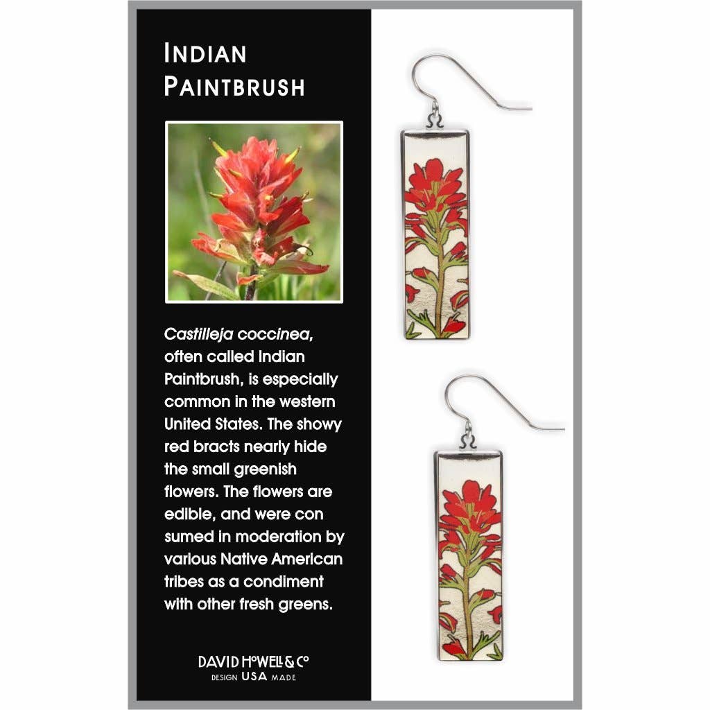 Boxed Jewelry - Indian Paintbrush - Giclee Print Domed Earrings