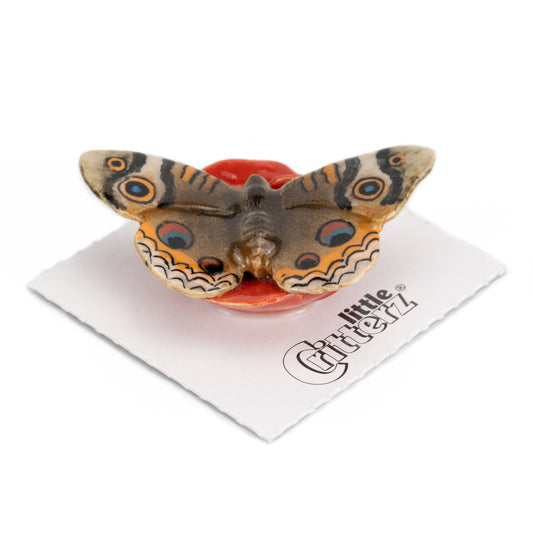 Little Critterz Porcelain Miniature - "Junonia" Buckeye Butterfly