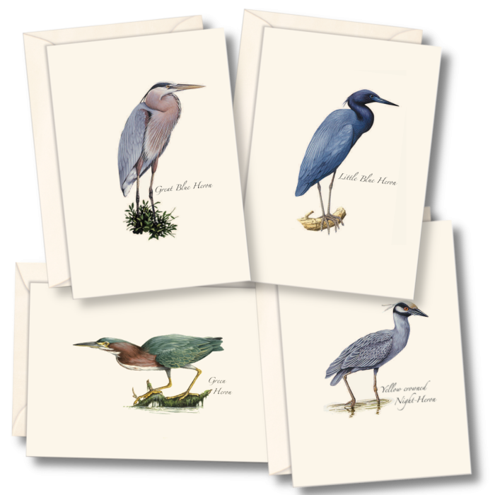 Paper - Boxed Notecards - Heron Asst (Heron Assortment) (Earth Sky + Water)