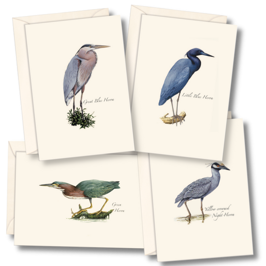 Paper - Boxed Notecards - Heron Asst (Heron Assortment) (Earth Sky + Water)