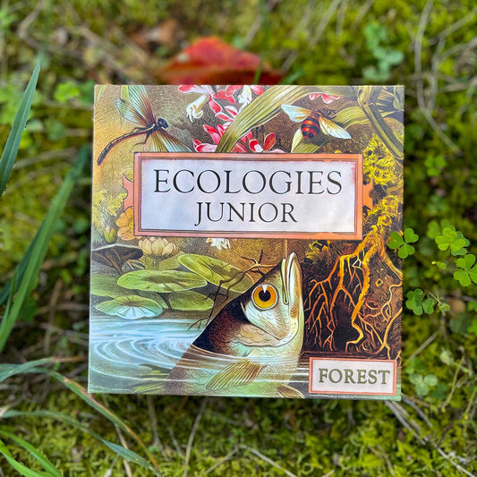 Games - Ecologies Junior: Forest (Ages 4+)