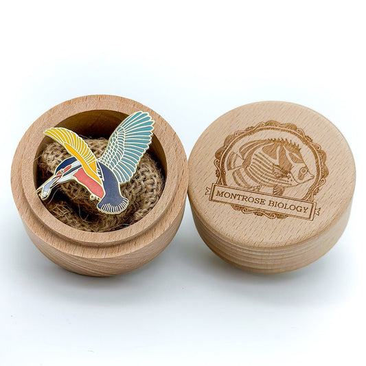 Lapel Pin - Kingfisher in Wooden Gift Box by Montrose Biology (Maker of Ecologies)